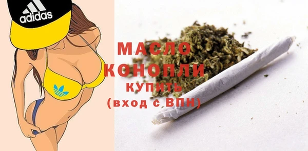 прущие грибы Коряжма