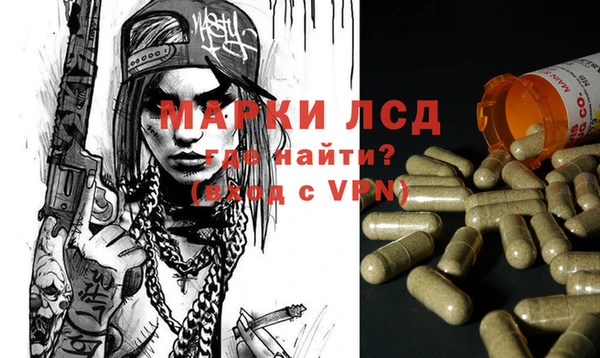 гашик Костерёво