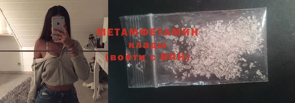 прущие грибы Коряжма