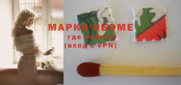 прущие грибы Коряжма