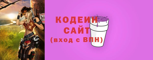 гашик Костерёво