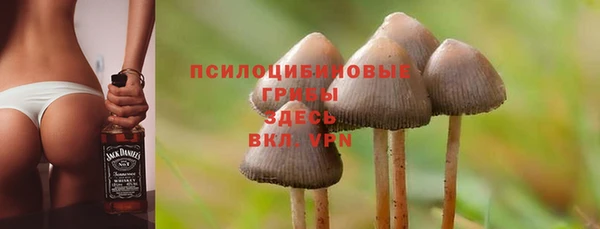 гашик Костерёво