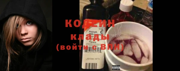 прущие грибы Коряжма