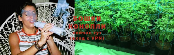 прущие грибы Коряжма
