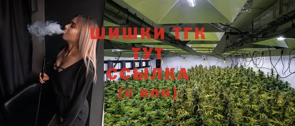 гашик Костерёво