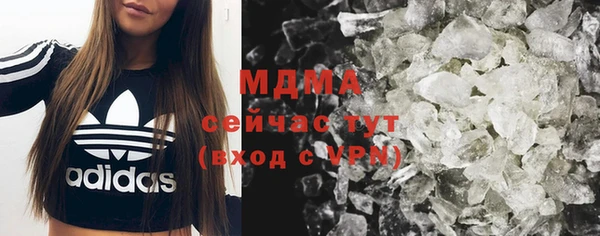 прущие грибы Коряжма