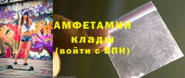 прущие грибы Коряжма