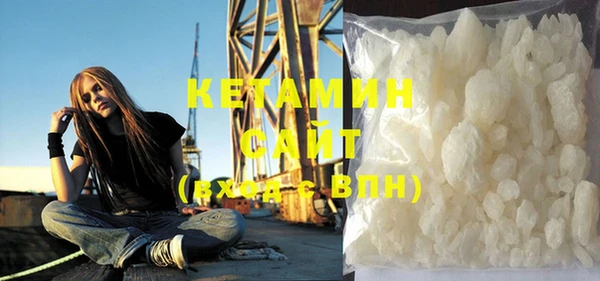 прущие грибы Коряжма