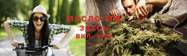 гашик Костерёво