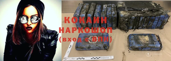 прущие грибы Коряжма