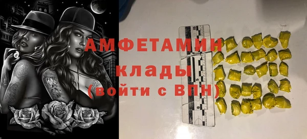 гашик Костерёво